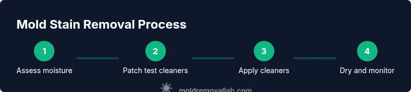 Infographic showing a four-step mold stain removal process