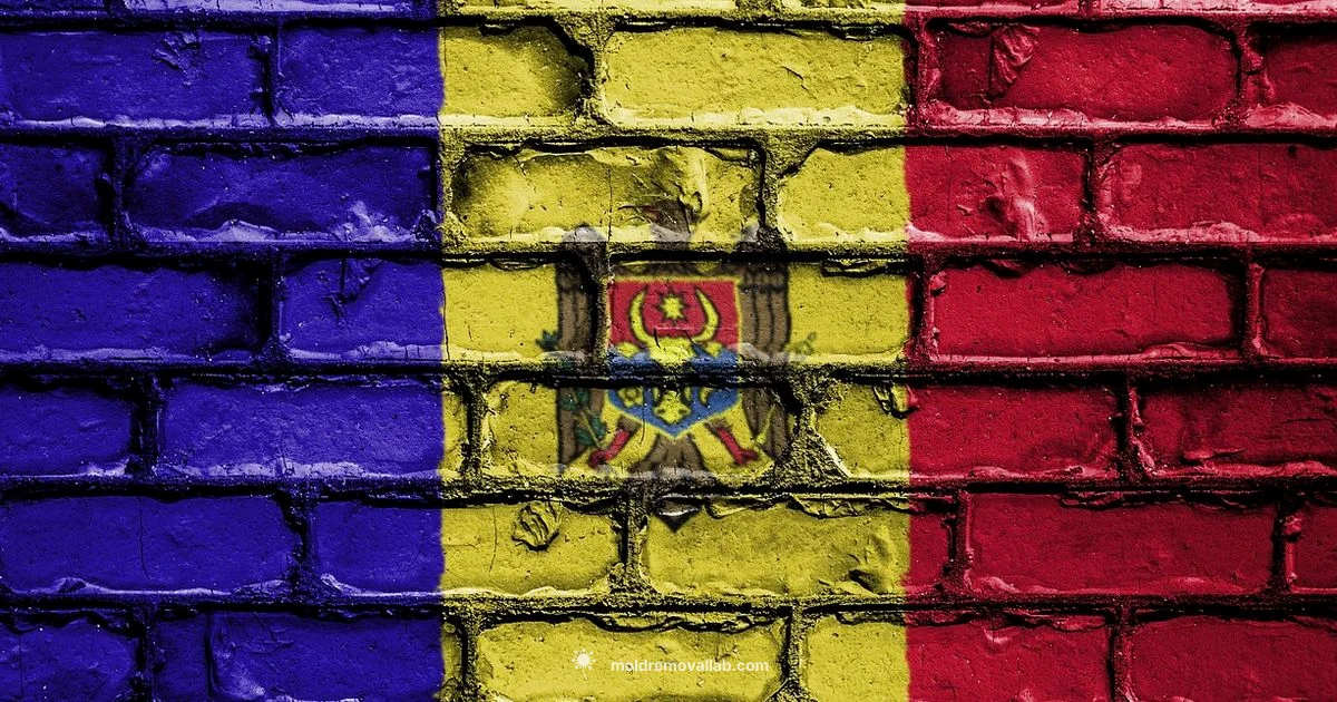 Moldova Russia Link - Mold Removal Lab