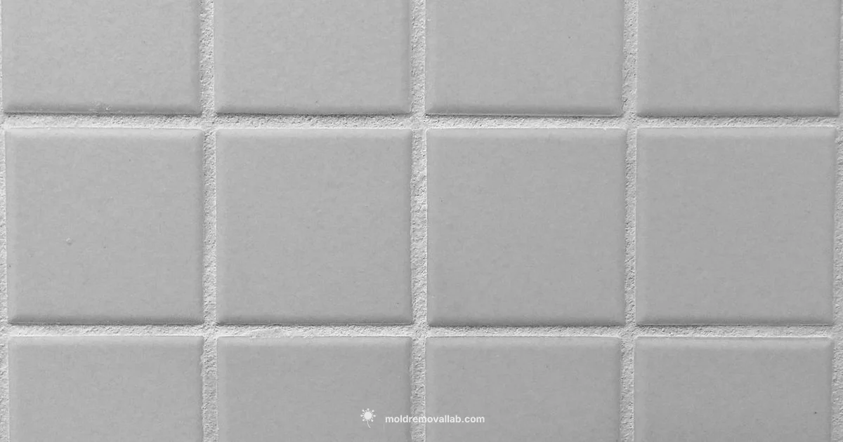 Bathroom Mold Guide - Mold Removal Lab