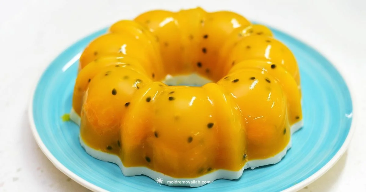 Jello Mold Basics - Mold Removal Lab