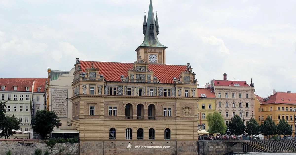 Language in Moldova Language in Moldova - Mold Removal Lab