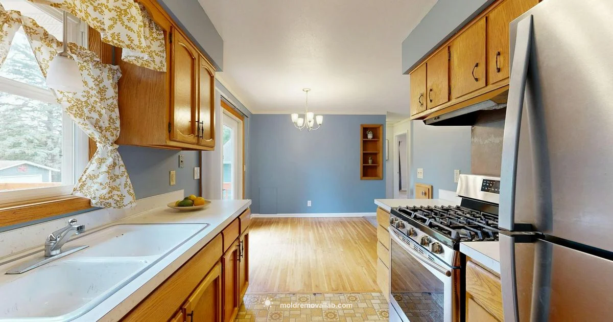 Mold Cleanup Guide - Mold Removal Lab