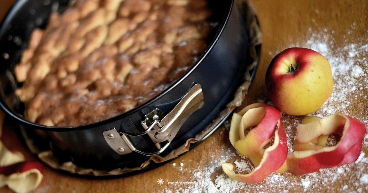 Cake Mold Guide - Mold Removal Lab