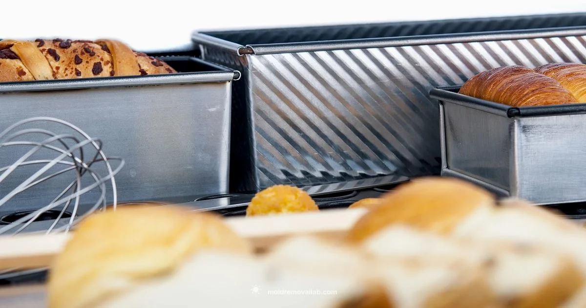 Bread Mold Guide - Mold Removal Lab