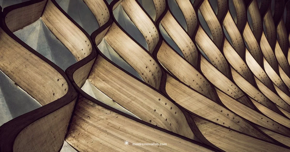 Mould on Wood Guide - Mold Removal Lab