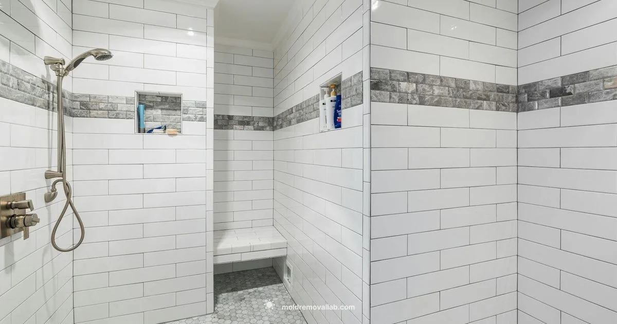 Shower Mildew Solutions - Mold Removal Lab