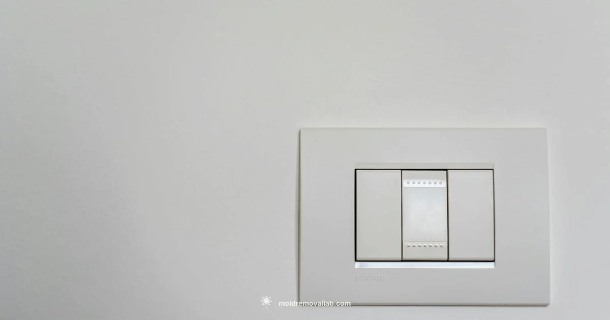 Shoe Mold vs Quarter Round Shoe Mold vs Quarter Round - Mold Removal Lab