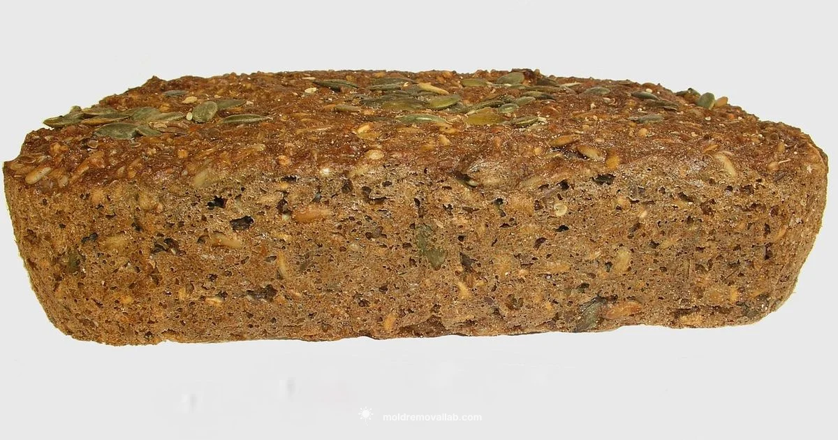 Moldy Bread Guide - Mold Removal Lab