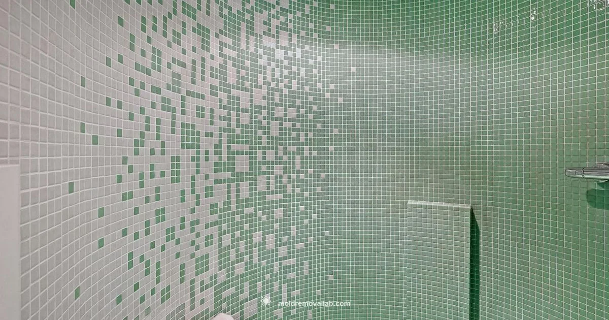 Mold Cleanup Guide - Mold Removal Lab