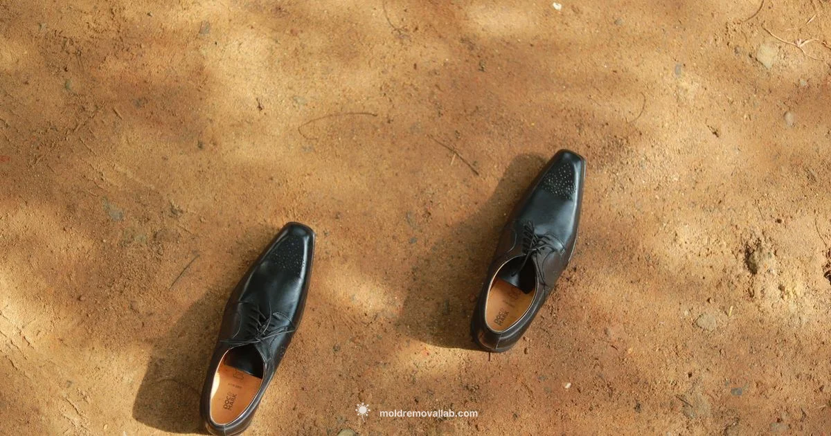 Mold-Free Shoes - Mold Removal Lab