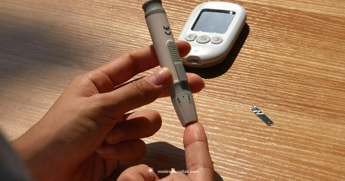 Nearby Mold Inspection - Mold Removal Lab