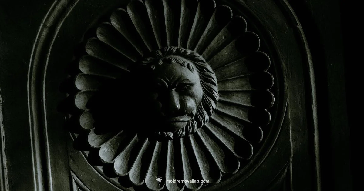 Ceiling Mould Guide - Mold Removal Lab